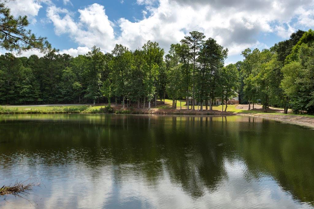 3055 Spring Hill Drive