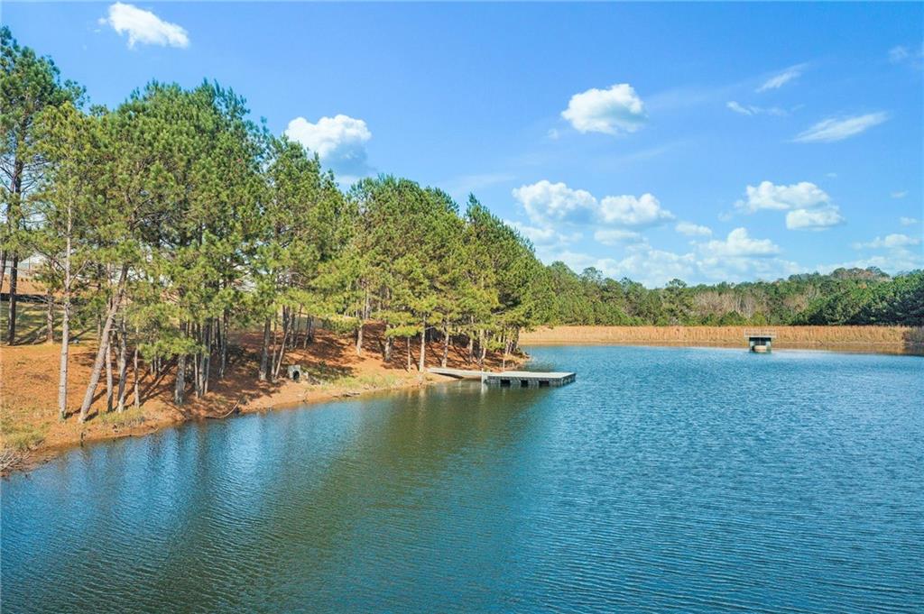 1209 Lakeside Overlook, Canton, Georgia image 20