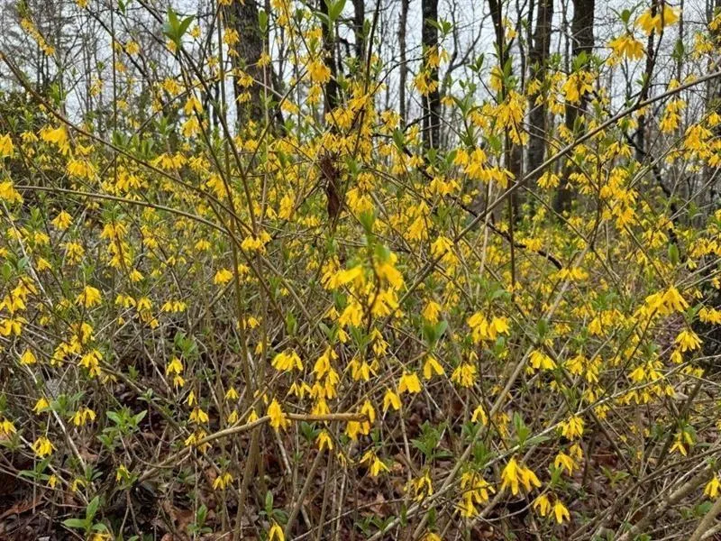 Douglasville, Georgia 30135, United States, 3 Bedrooms Bedrooms, ,4 BathroomsBathrooms,Residential,Active,12943