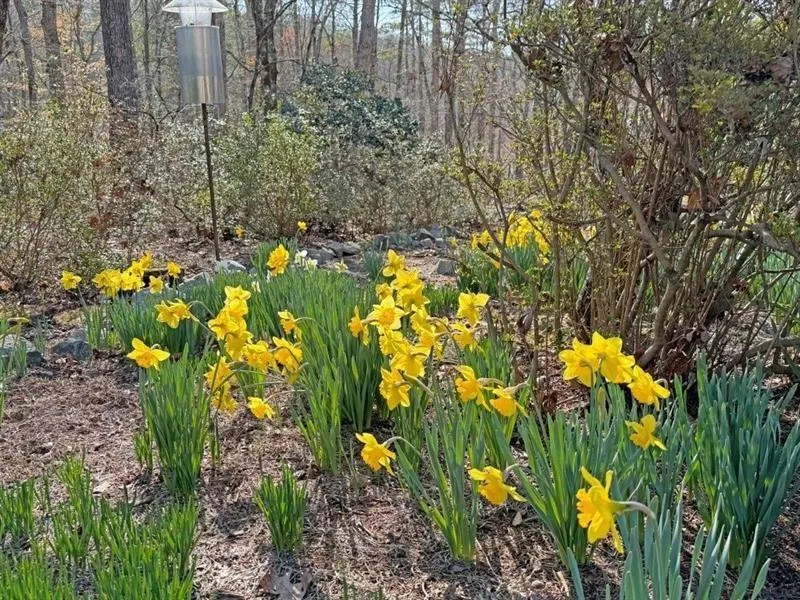 Douglasville, Georgia 30135, United States, 3 Bedrooms Bedrooms, ,4 BathroomsBathrooms,Residential,Active,12943