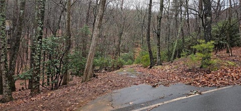 Vacant Land For Sale - 255 Woodland Trace<br/> Dawson County, Jasper, GA 30143