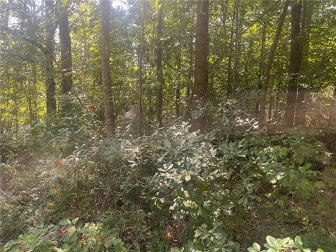 Vacant Land For Sale - 161 Apache Trail<br/> Stephens County, Martin, GA 30557