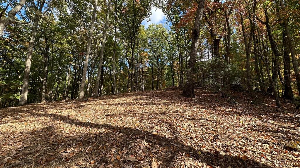 LOT 28 Long Mountain Road, Cleveland, Georgia image 21