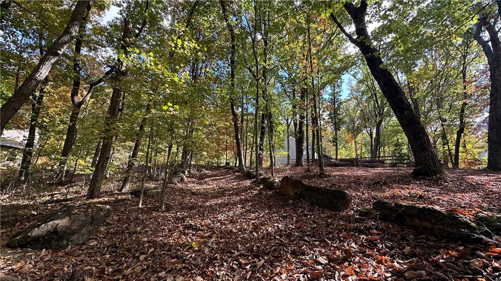 LOT 28 Long Mountain Road, Cleveland, Georgia image 19