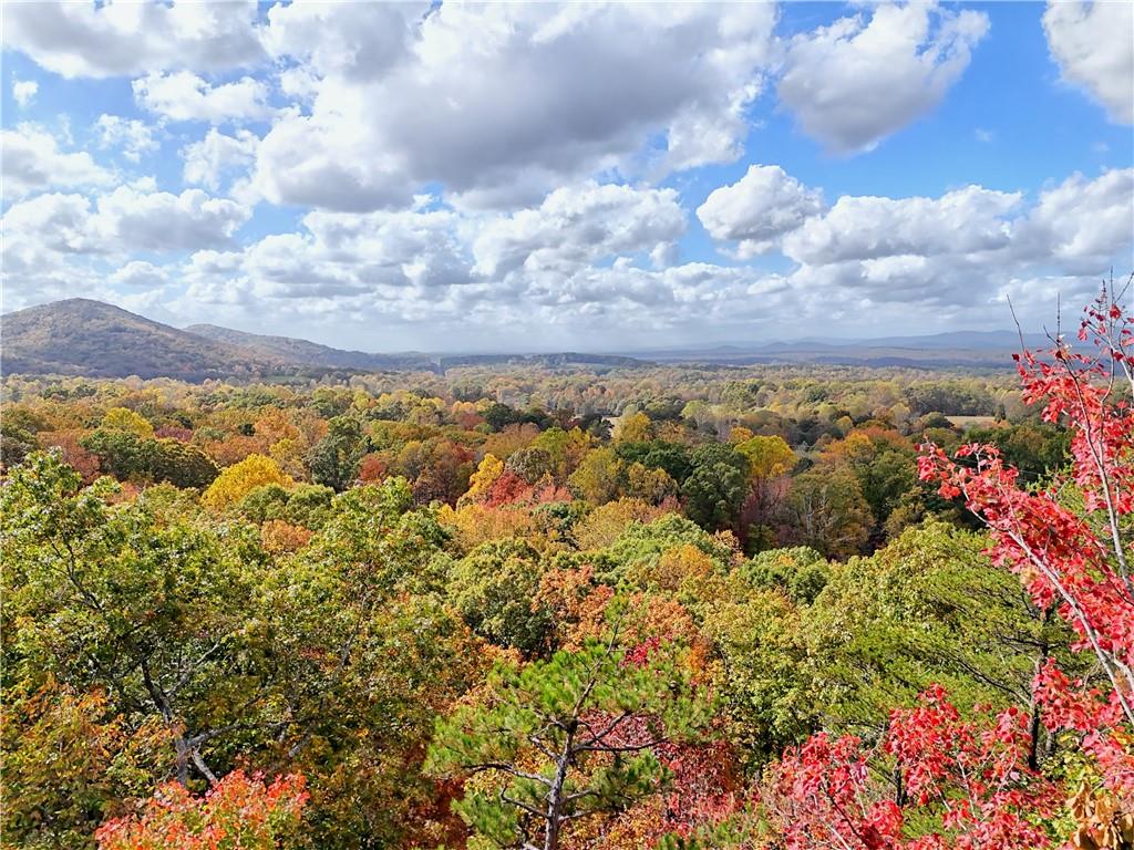 LOT 28 Long Mountain Road, Cleveland, Georgia image 4