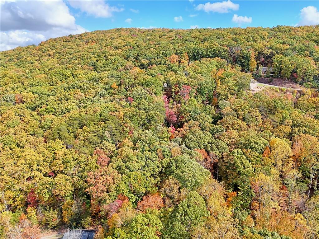 LOT 28 Long Mountain Road, Cleveland, Georgia image 9