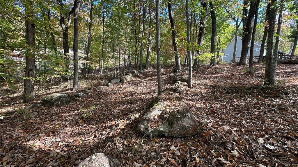 LOT 28 Long Mountain Road, Cleveland, Georgia image 18