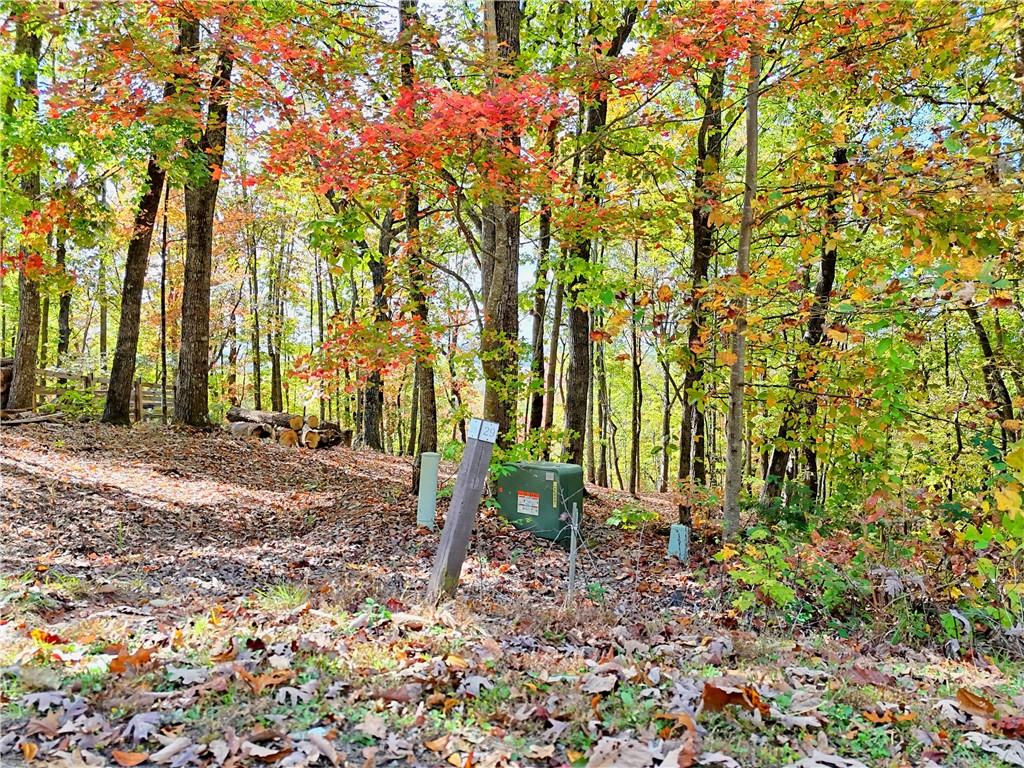 LOT 28 Long Mountain Road, Cleveland, Georgia image 6