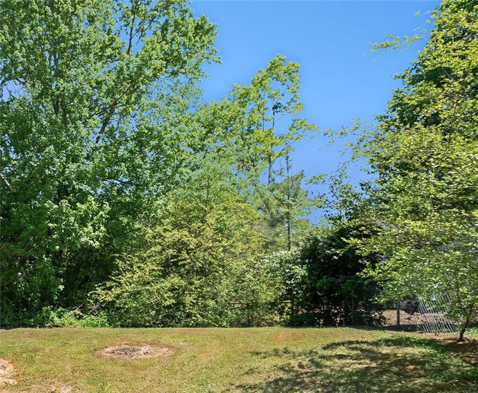 1703 Laurel Creek Circle, Lithonia, Georgia image 28