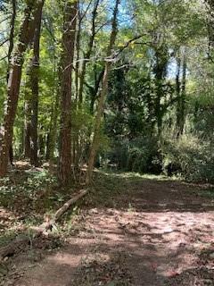 Campbellton Road, Atlanta, Georgia image 12