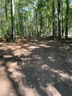 Campbellton Road, Atlanta, Georgia image 6
