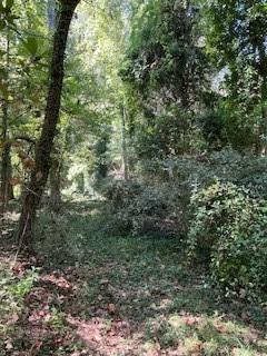 Campbellton Road, Atlanta, Georgia image 16