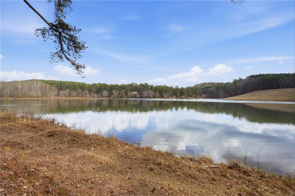 Marble Hill, Georgia, 30148, United States, 5 Bedrooms Bedrooms, ,5 BathroomsBathrooms,Residential,Active,2025579