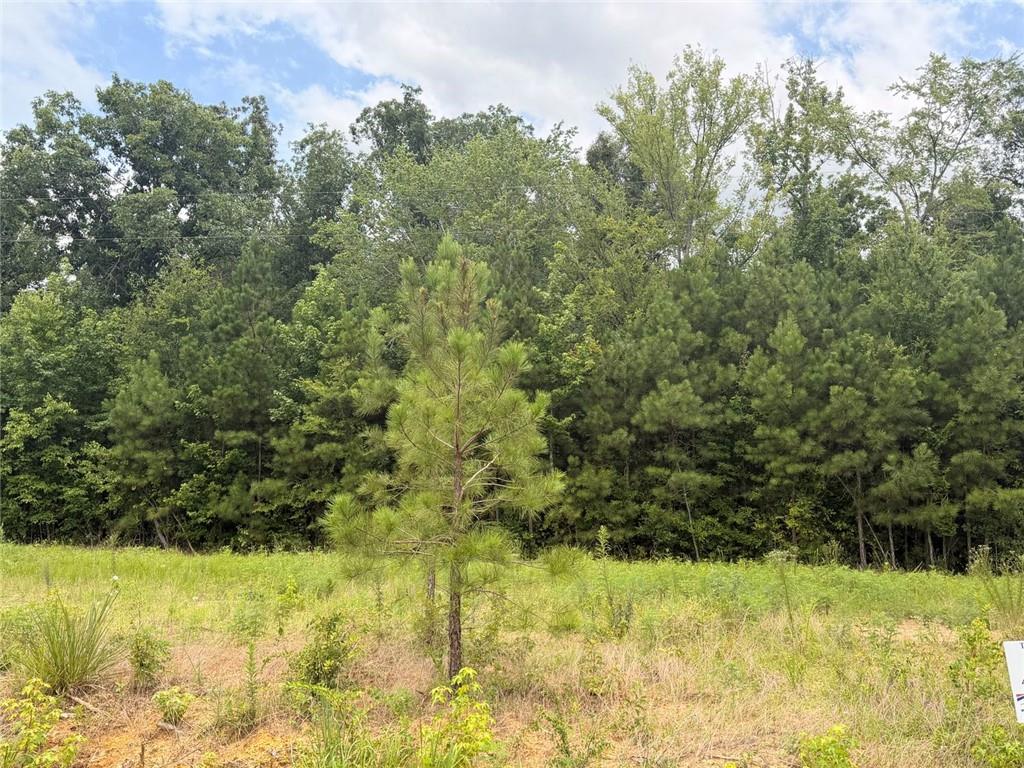 Lot 58 County Road 32