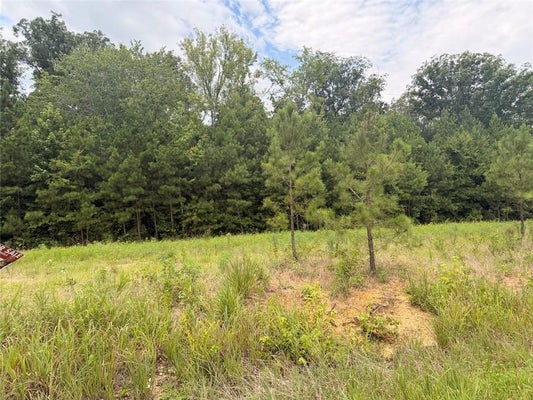 58 COUNTY RD 32, FORT PAYNE, AL 35967 - Image 37e8a03cd339e4820d975a8120ba2edc/2504045536