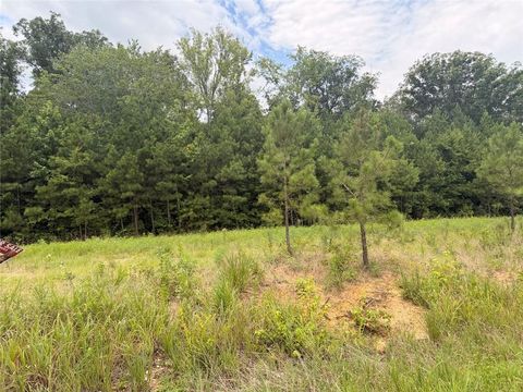 Vacant Land For Sale - LOT 58 County Road 32<br/> Cherokee County, Piedmont, AL 36272