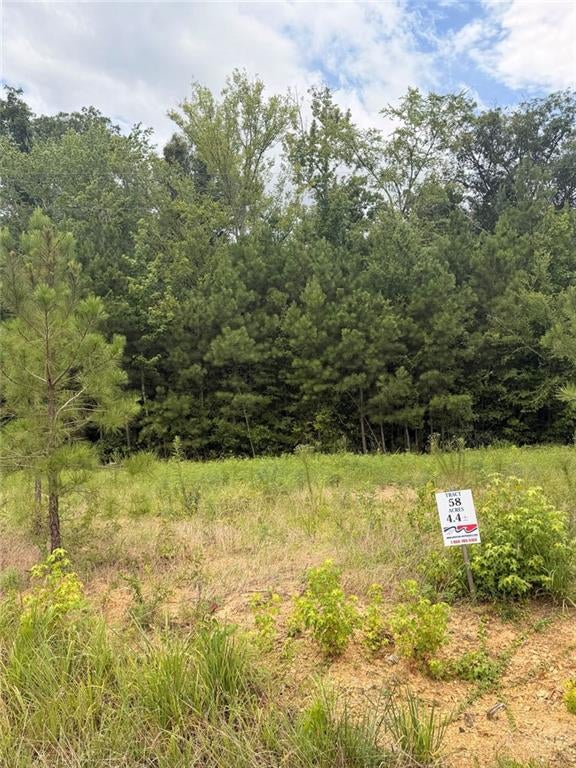 Lot 58 County Road 32