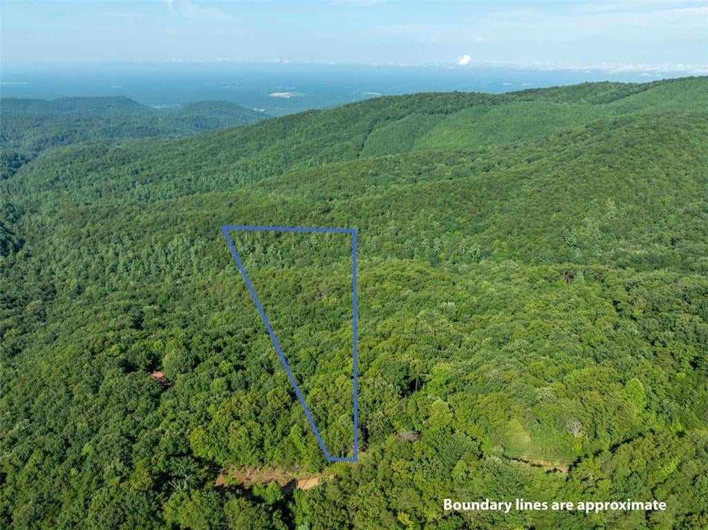 LOT 9 Brushy Top Drive