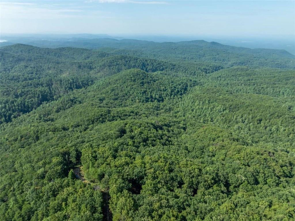 LOT 9 Brushy Top Drive