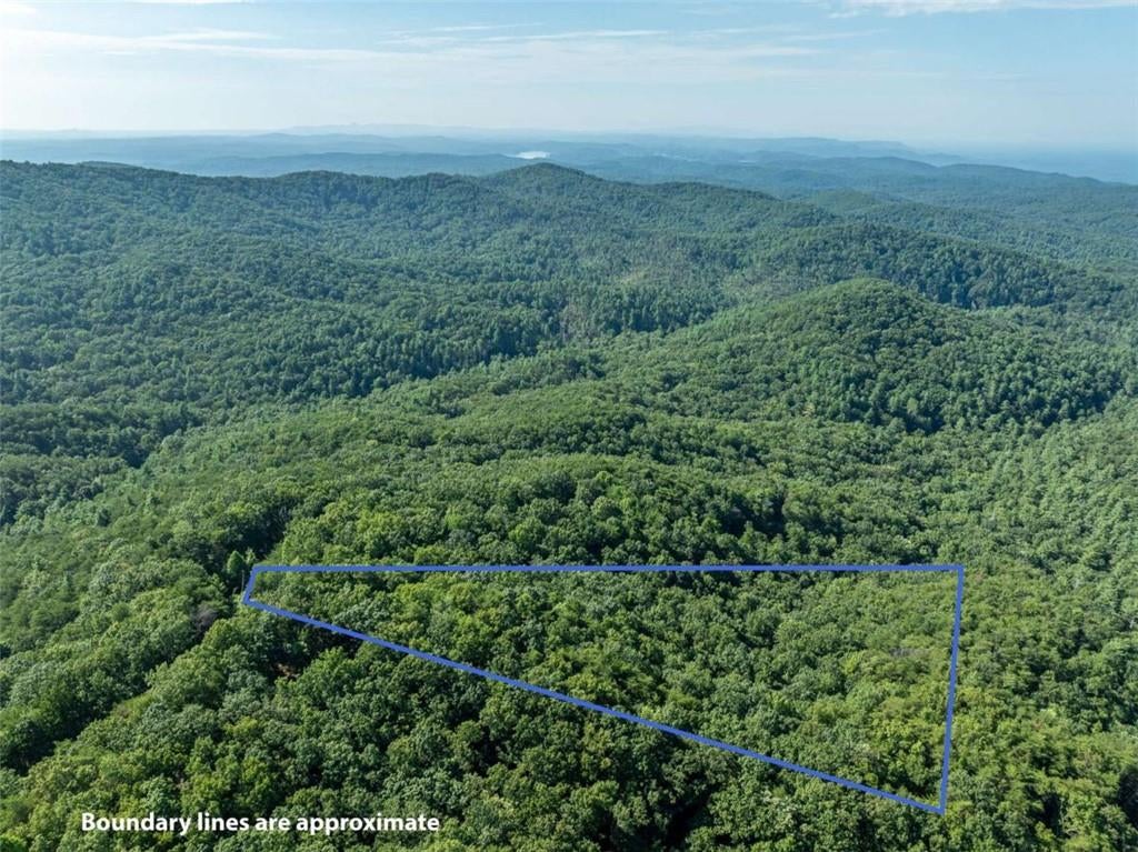 LOT 9 Brushy Top Drive