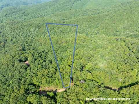Vacant Land For Sale - LOT 9 Brushy Top Drive<br/> Chatsworth, GA 30705
