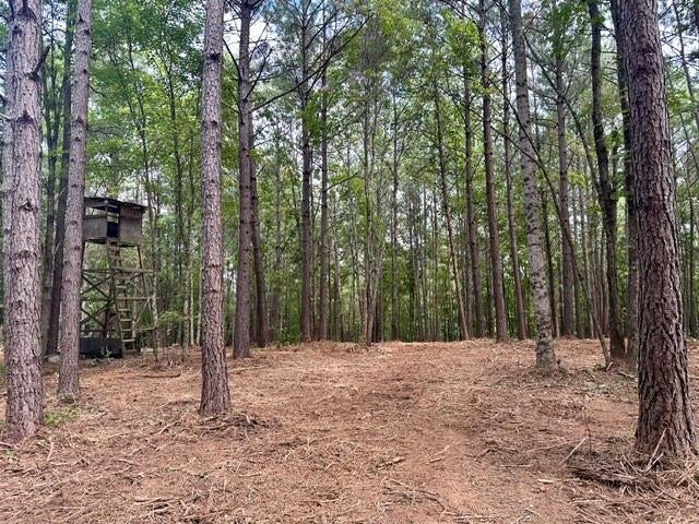 130 Patriot View Drive