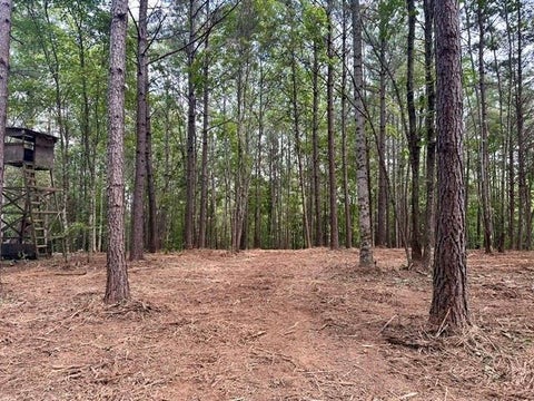 Vacant Land For Sale - 130 Patriot View Drive<br/> Dahlonega, GA 30533