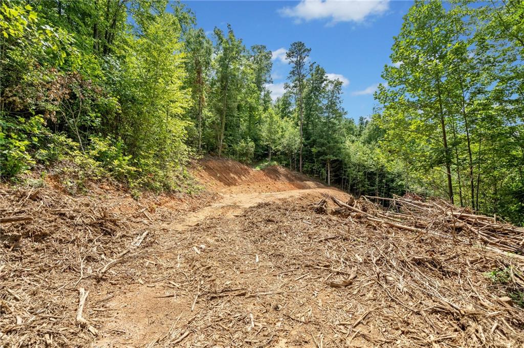 4.81 Acres Tom Wheeler Road, Hiawassee, Georgia image 6