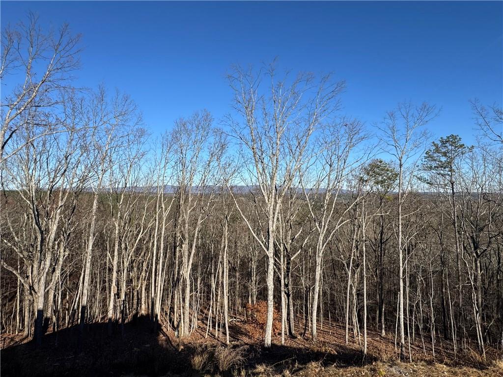 171 Hawthorne Hill Road