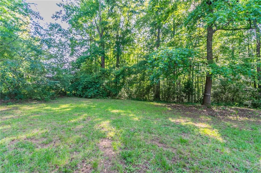 22 Welcome Wood Drive, Newnan, Georgia image 23