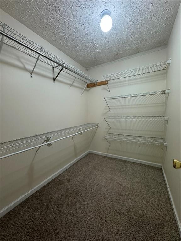3722 Cherokee Overlook Drive, Canton, Georgia image 22