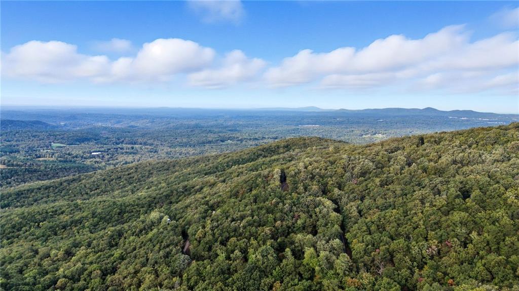 469 Moss Patch Trail