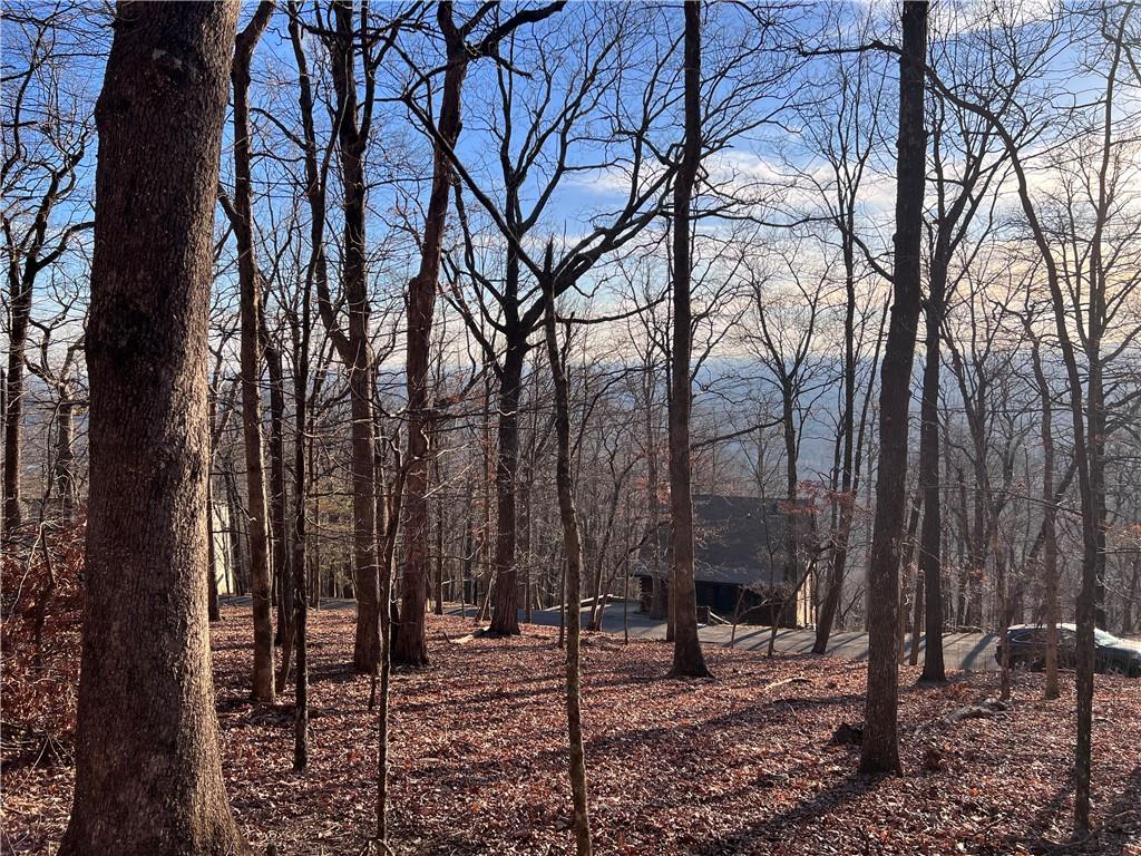 297 Panorama Point, Jasper, Georgia image 1