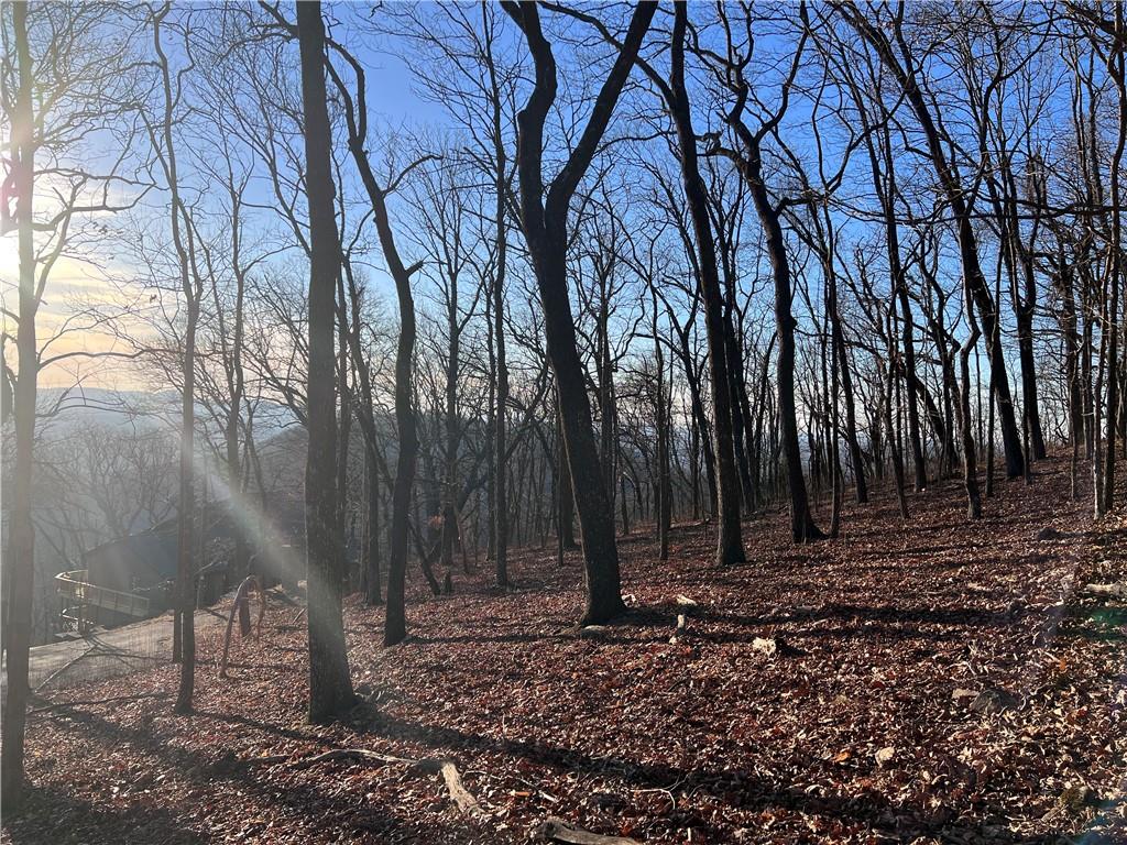 297 Panorama Point, Jasper, Georgia image 2