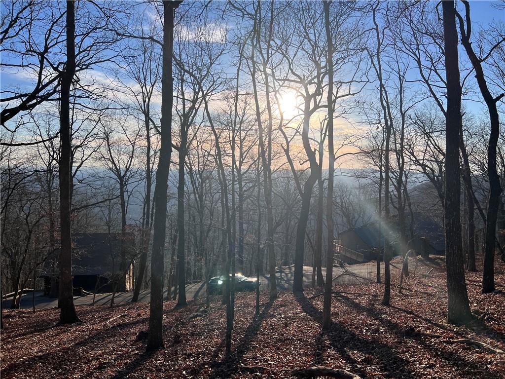 297 Panorama Point, Jasper, Georgia image 3