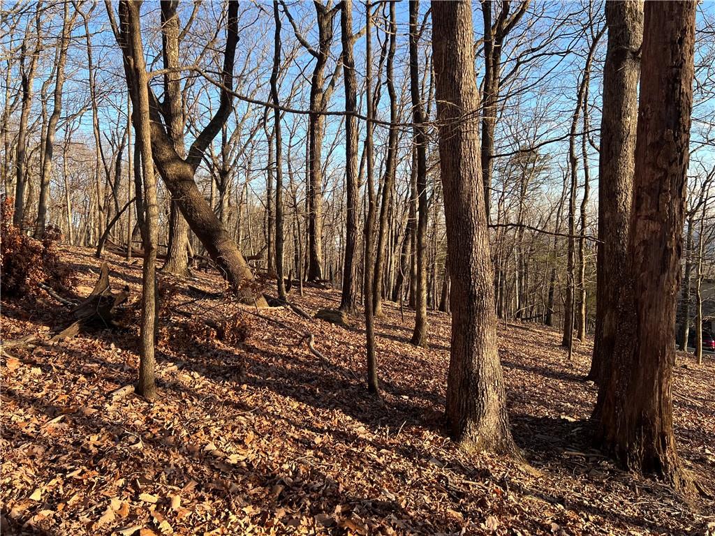 297 Panorama Point, Jasper, Georgia image 5
