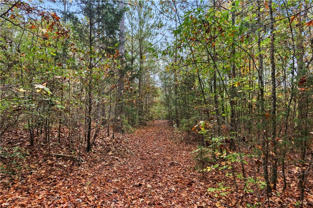 Lot 1 Mill Street, Elberton, Georgia image 10