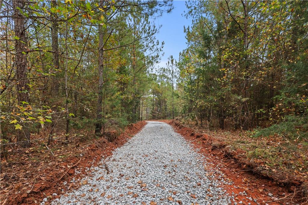 Lot 1 Mill Street, Elberton, Georgia image 19