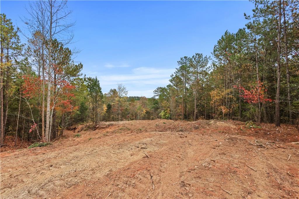 Lot 1 Mill Street, Elberton, Georgia image 8