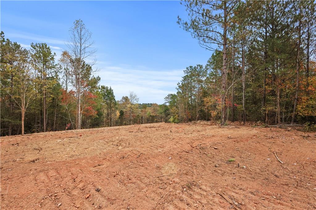 Lot 1 Mill Street, Elberton, Georgia image 9