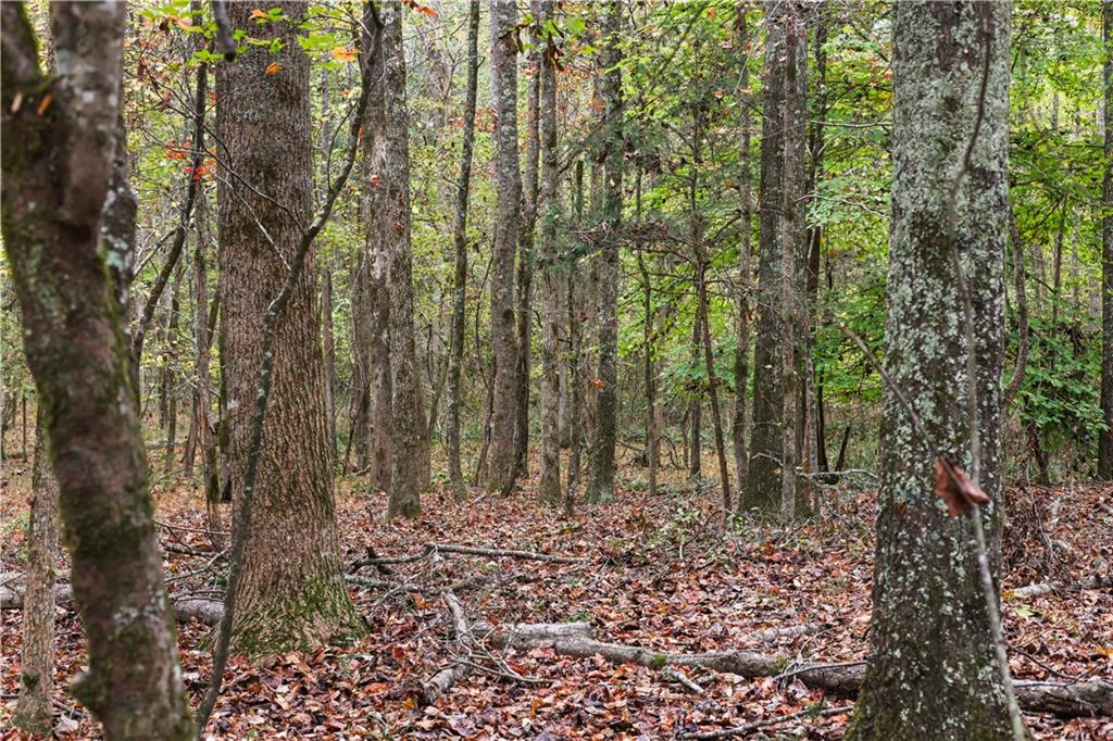 Lot 1 Mill Street, Elberton, Georgia image 14