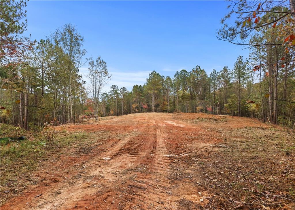 Lot 1 Mill Street, Elberton, Georgia image 7