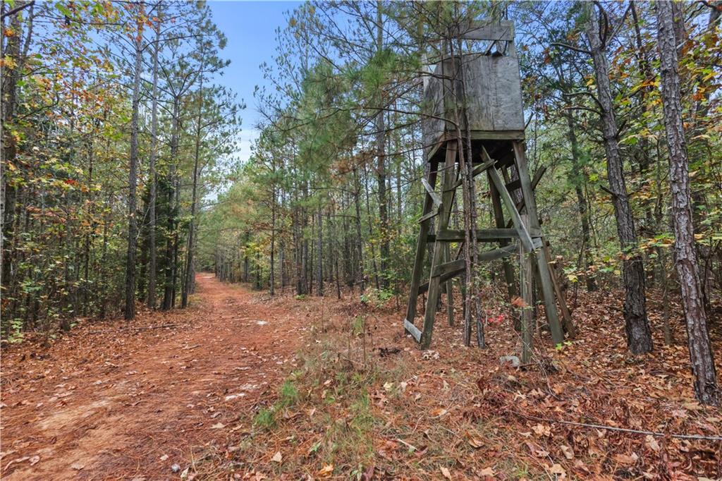 Lot 1 Mill Street, Elberton, Georgia image 13