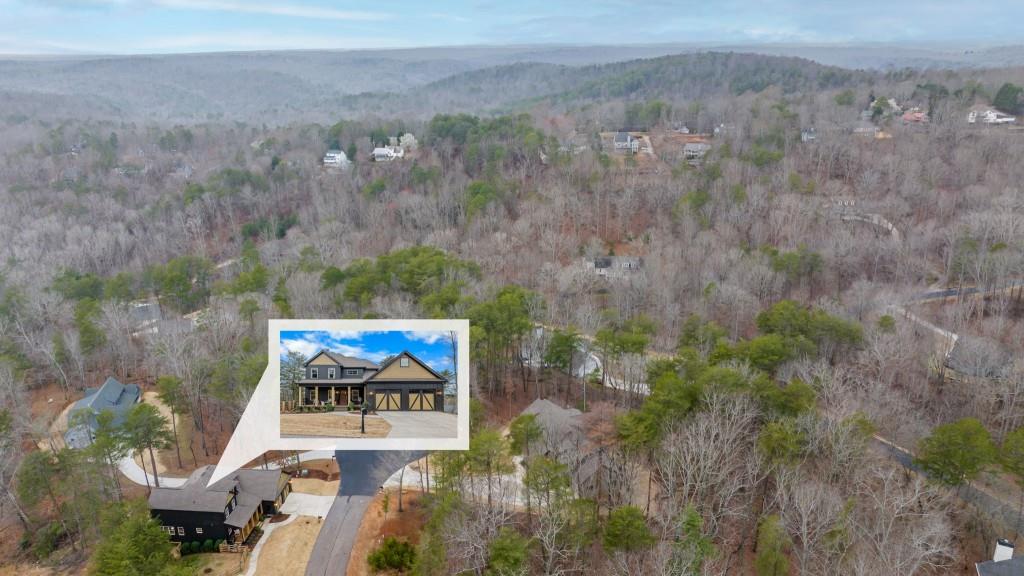 567 Crown Mountain Way, Dahlonega, Georgia image 50