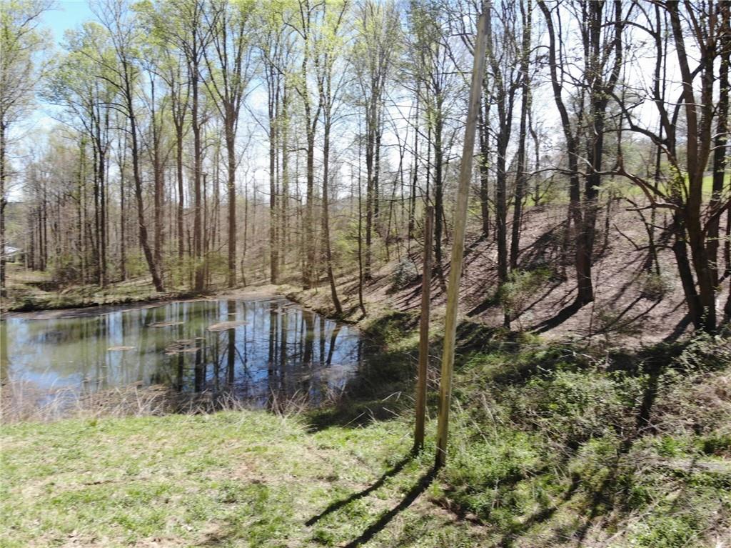 Gorgeous 5 acres of land with a small pond, great for building your dream home and even having a small farm. Survey and soil test provided. Owner/Agents. If Penny Wilson or Anna Stradley shows the property to your client and you are not present, the selling broker commission paid to your selling brokerage shall be 1%.