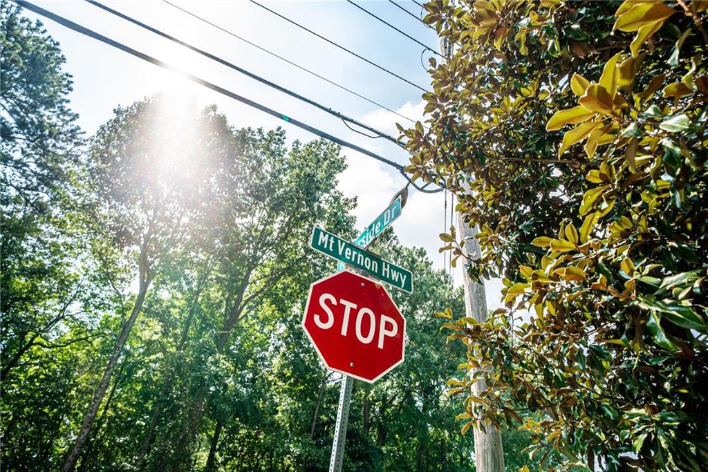 Mount Vernon Highway, Sandy Springs, Georgia image 13