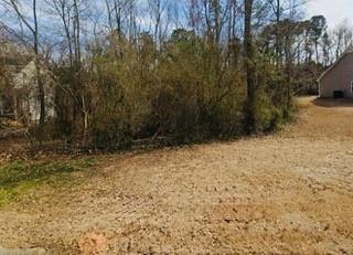 119 Muscadine Way, Carrollton, Georgia image 1