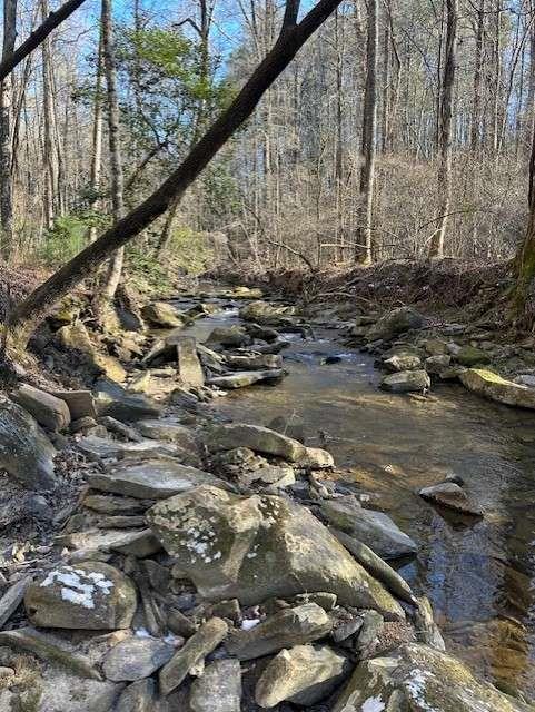 Clear Creek Preserve Way- 4.55 Acre Lot, Ellijay, Georgia image 4