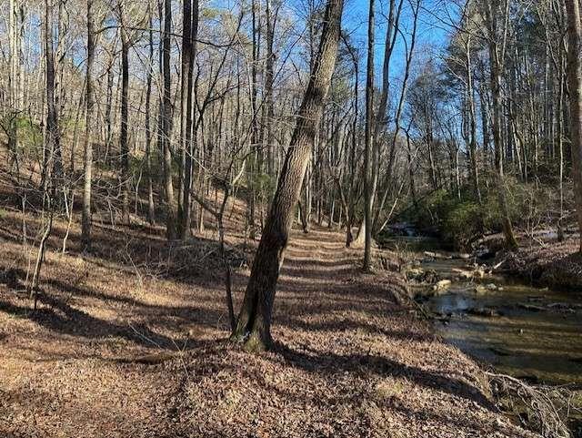 Clear Creek Preserve Way- 4.55 Acre Lot, Ellijay, Georgia image 7