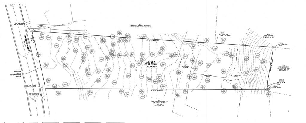 01 Orkney Lane, Atlanta, Georgia image 1